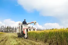 全年3次发放实际种粮农民一次性补贴 政策保底+对接供需，常州农民种粮收益稳了图片