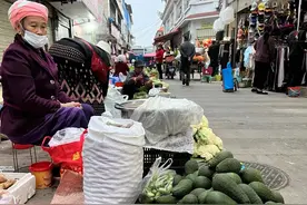 云南孟连：边陲小城的“牛油果”逆袭图片