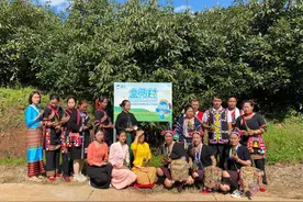 国产牛油果的进化之旅：从边陲小城走进北上广，一年销量增长3倍图片