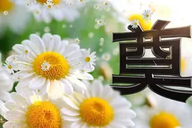 青未了｜乡村纪事之红白喜事（二）图片