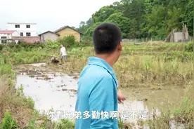 兄弟又来了图片