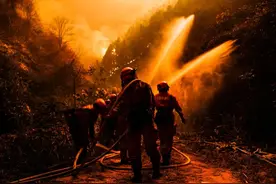 带兄弟回家图片