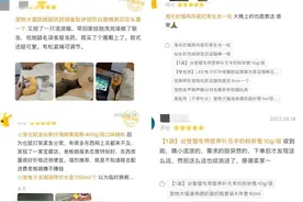 杭州两个90后女生开的宠物用品外卖店火了，每天120-150单，每个深夜订单背后都是充满爱心的“铲屎官”图片