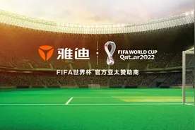 闪耀卡塔尔世界杯的中国元素——再度“出征”的雅迪图片