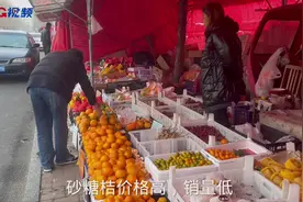 逛市场（视频）|变身“贵族”水果，今年砂糖橘价格“飞上天”图片