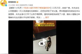 真是个小机灵！流浪小猫引导男子解救猫妈妈图片