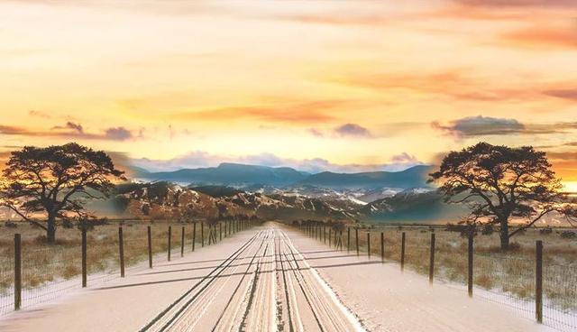 鹿茸炖花胶需要放什么好 2025年鹿茸炖花胶需要放什么好吃的