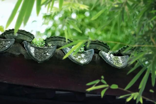 鹿茸花胶炖鸡 鹿茸花胶炖鸡的做法