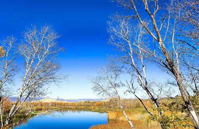 花胶炖鹿耸 2026年花胶炖鹿茸瘦肉功效与作用