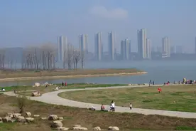 健康笔记「22」无痛胃肠镜检查有感图片