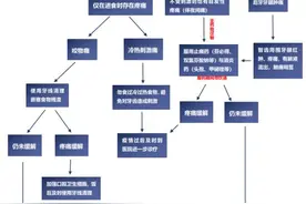 牙医支招，收好这份牙痛“自救指南”图片