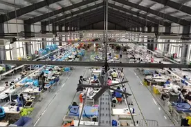 村级集体经济看亮点 | 看河北大名县如何在土地里“四两拨千斤”图片