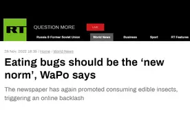 俄媒：《华盛顿邮报》鼓励“吃昆虫”保护环境，引发争议图片