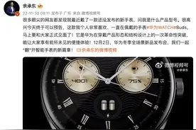 华为WATCH Buds官宣将于12月2日发布图片