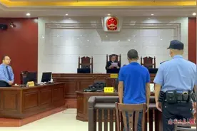 砍自己种的树被判刑，问题出在哪？图片