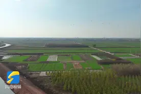 礼赞家乡沂蒙山！原创乡村振兴歌曲《东哨，我常念你的名字》出炉图片