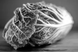 百菜不如白菜？三种吃法，每一种都不浪费图片