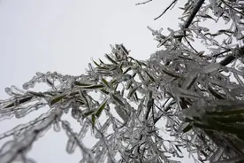 冷҈冷҈冷҈！广西下雪了，玉林开启速冻模式，何时升温？图片