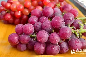 特色产业链式发展 "桃源稻乡"绘就乡村振兴新画卷图片