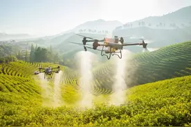 航迹遍布六大洲！大疆农业无人机出海：国外农民也受益图片