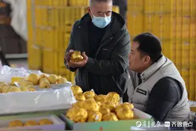 莱西一男子车祸后截瘫，轮椅上开网店卖梨年销40多万斤图片