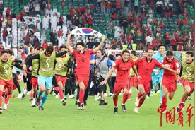 多图回顾：韩国队2比1逆转葡萄牙 双方携手进入16强图片