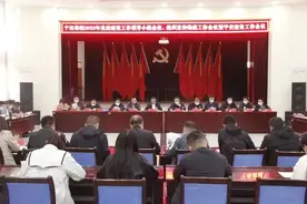 金川区宁远堡镇：党建引领谋发展 踔厉奋发创佳绩图片