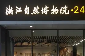 一片叶子有3层楼高！中国最大叶片标本亮相杭州图片