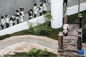 每日一词∣   新时代的中阿合作 China-Arab cooperation in new era图片