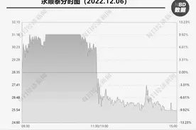 次新股永顺泰上演“天地板”今年业绩预降为何仍被资金炒作？图片