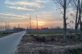 老张大张小张（小小说）图片