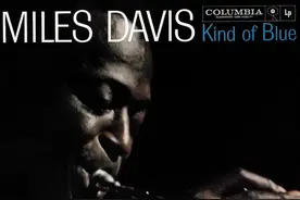 最伟大流行音乐家的一人一张入门专辑，你听过几张图片