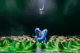 64岁杨丽萍登台再跳孔雀舞，舞伴去世、团队解散压不垮她图片