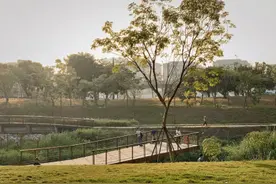 深圳旅行社稳经营将获最高10万元补贴图片