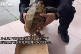 “夜闯民宅”被“逮捕”？它竟是国家一级保护动物图片