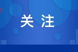 内蒙古电力揪出多只老虎！图片