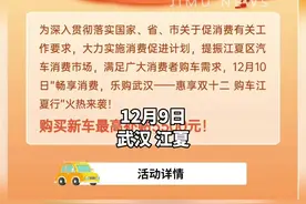 最高补贴5500元！武汉江夏开启年底购车补贴活动图片
