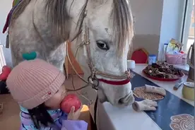 内蒙古萌娃牵马进房吃水果，网友：吃着盘里的，还盯着主人手里的图片