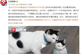 栩栩如生！女子手作仿真猫走红，订单排到2025年图片