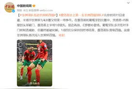 非洲球队首进世界杯四强图片