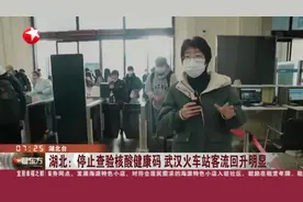 湖北：停止查验核酸健康码 武汉火车站客流回升明显视频封面