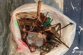 威海：两男子夜间抓野兔 被公安夜巡抓获图片