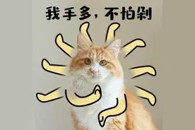 瘦腿袜=瘦身“神器”？图片