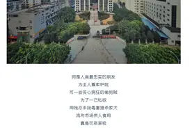 4人用毒镖毒死89只狗被捕，四川警方查获千斤狗肉：丧心病狂图片