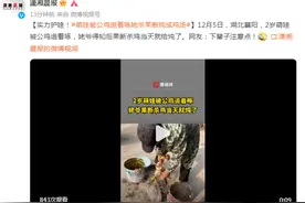 实力护娃！萌娃被公鸡追着啄，姥爷果断将其炖成鸡汤图片