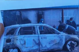 吉利星越L被曝提车第三天就自燃！门店称原因还在等鉴定结果图片