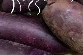 紫薯到底是不是转基因食品？这种又甜又糯的品种你吃过吗？图片