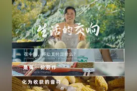 中国移动支付已走过10年图片