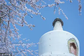 推荐！这30篇China Daily写中国文化的文章，一定要收藏！图片