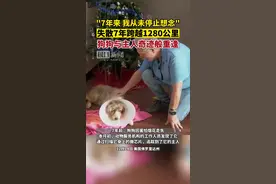 失散7年跨越1280公里，狗狗与主人奇迹般重逢图片